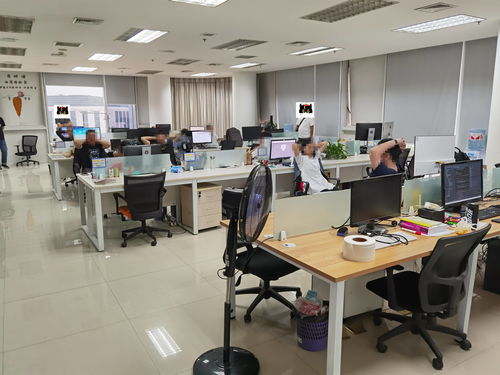 技术开发成帮凶，浠水警方雷霆出击斩断涉诈APP黑色产业链