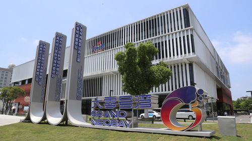 上海市政府常务会议部署“大零号湾”建设与职务科技成果权属改革，加速技术开发新篇章